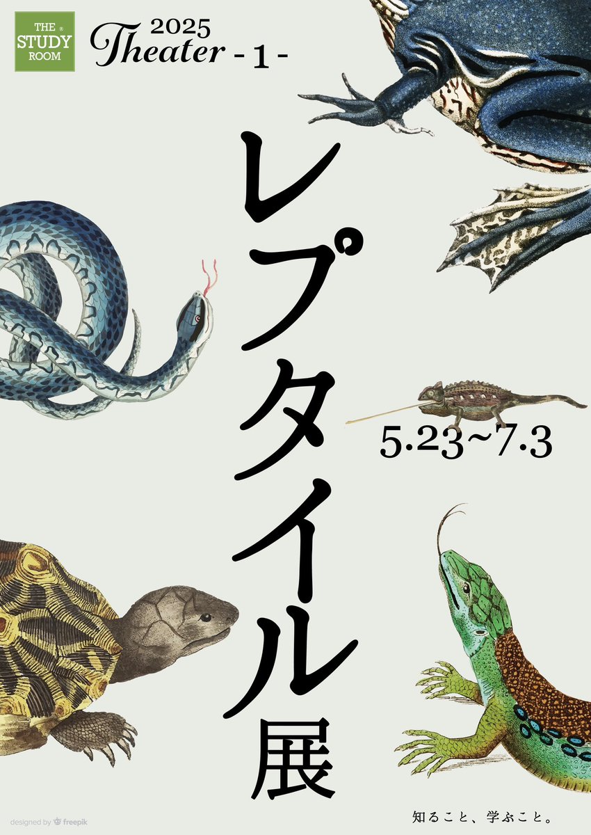 THESTUDYROOMuen's tweet photo. 23日から展開まとめ！

レプタイル展スタート！
上野店前半

みのじ@kameminoji
nina @ninaendlesseive
Clair @Clair314
工房うむき@kobo_umuki
雨宮ひかる@WANIwaniamemi
田中帽子店

里山フェア後半は
安斉俊@anzai_shun 
工房西岡@kobo_umuki

さらに
TANUKI STUDIO @TANUKI_STUDIO_ 

お楽しみに! https://t.co/lgNNsZN2vK