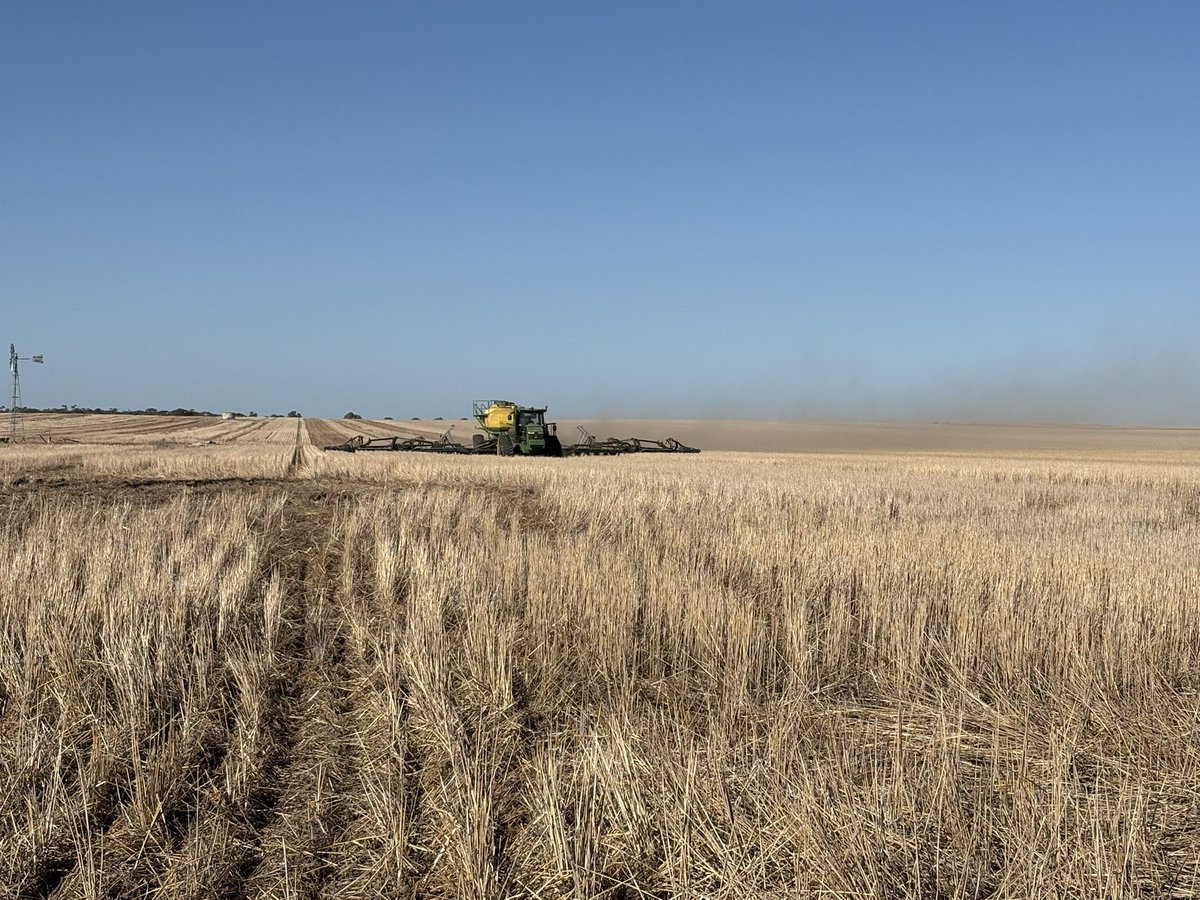 Dylan Hirsch tweet media