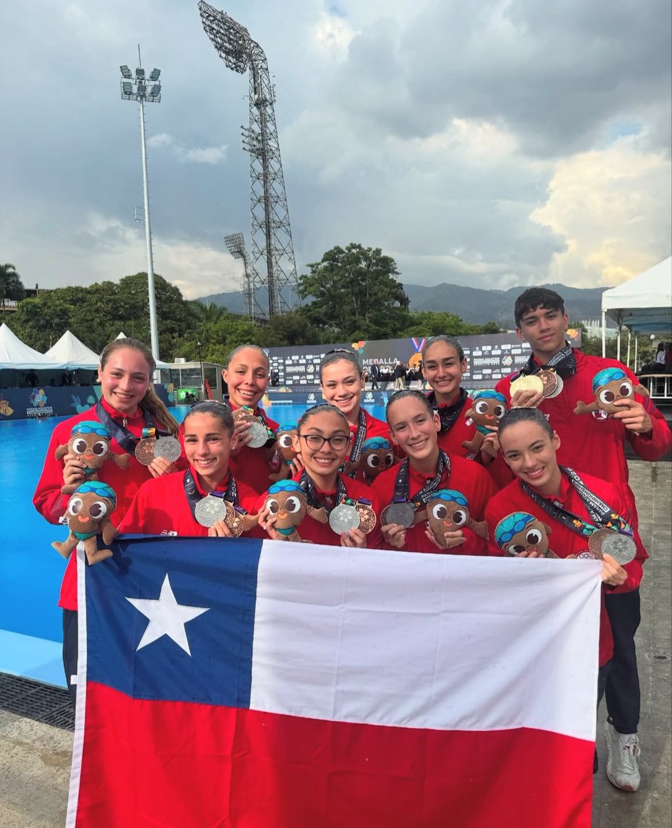 Team Chile tweet media