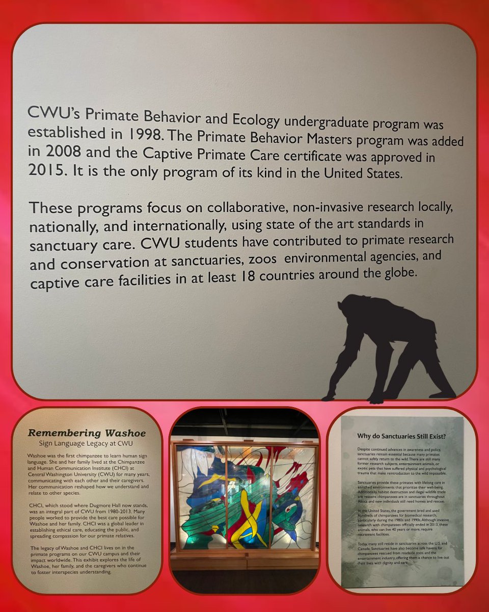 Last week we had the privilege of celebrating the history of Washoe’s family and CHCI. There were many beautiful speeches and stories shared that commemorated the legacy that took place here at CWU. 
Make sure to check out the museum that shares the story of Washoe and CHCI.
