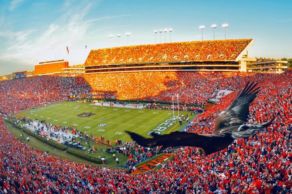 Auburn247's tweet photo. What’s the BEST Auburn tradition — rolling Toomer’s Corner? The eagle flight? Something else?

Drop your favorite below and tell us why it tops the list! 🍊🦅👇

#AuburnTradition #WarEagle #ToomersCorner #EagleFlight #AuburnFamily https://t.co/arvUINB0I1