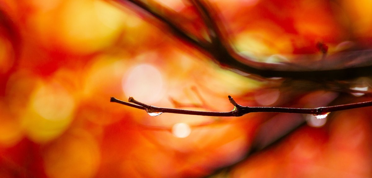 Surviving political persecution overseas and domestic violence in Australia, Julia transformed her life through JRS Australia's Finding Safety Project.

Details:
👉 jesuit.org.au/making-hope-a-…

Image: Andreas Haslinger, Unsplash.

#jesuits #societyofjesus #jesus #jesuit <a href="/JRS_Aus/">Jesuit Refugee Service (JRS) Australia</a>