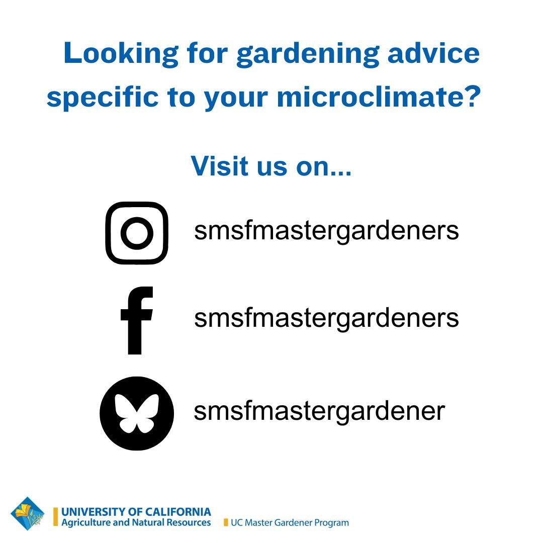 SMSF MasterGardeners tweet media