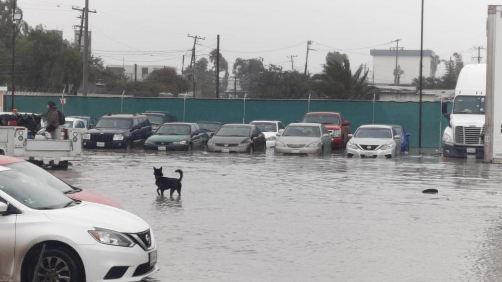 Victor Briseno tweet media