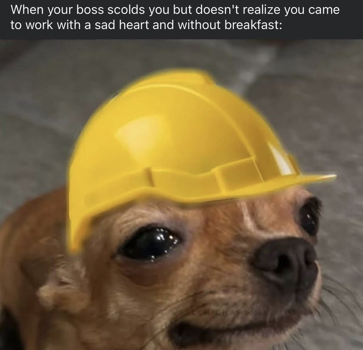 Chevlos's tweet image. 🥲