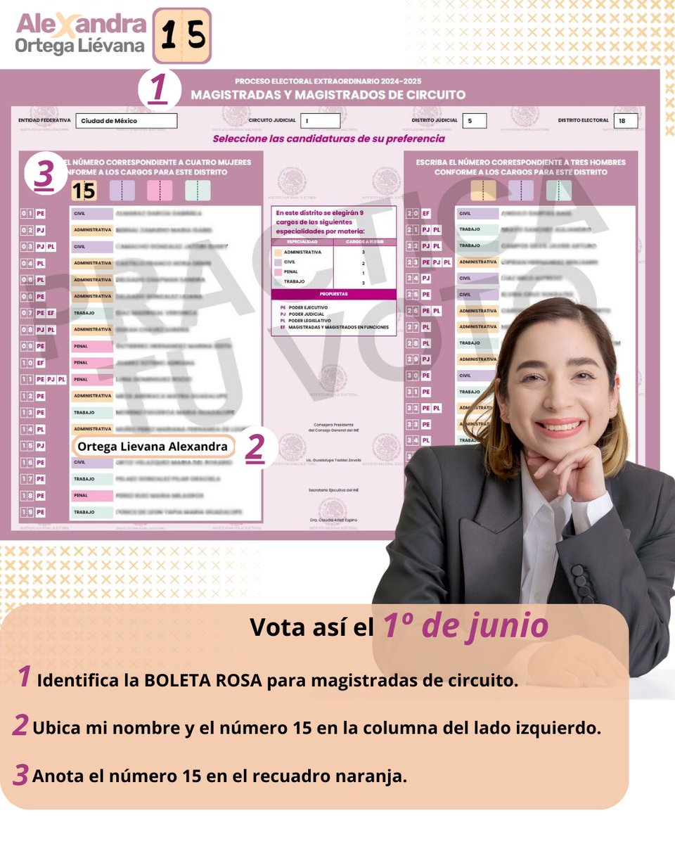 Vota así el 1º de Junio:

1. Identifica la BOLETA ROSA para magistradas y magistrados de circuito.

 2. Ubica mi nombre y el número 15 en la columna del lado izquierdo.

 3. Anota el número 15 en el recuadro naranja.

#15 #elecciones2025 #1dejunio #poderjudicial #reformajudicial