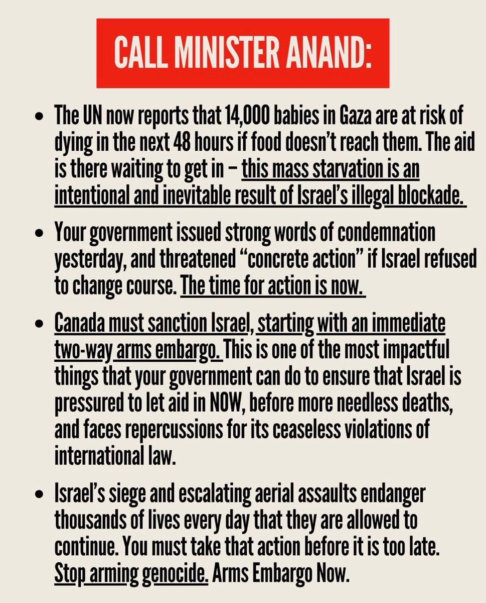 Please help call the Canadian minister of foreign affairs for ACTION. 

Canada must sanction Israel with an arms embargo NOW. 

Call the office at 905-338-2008 and the ministry at 343-203-1851.