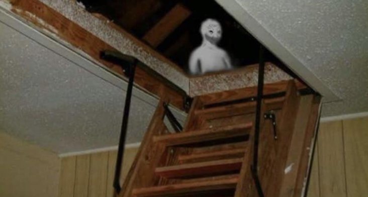 Dirty D (69/420 arc) (@bullaxbt) on Twitter photo 