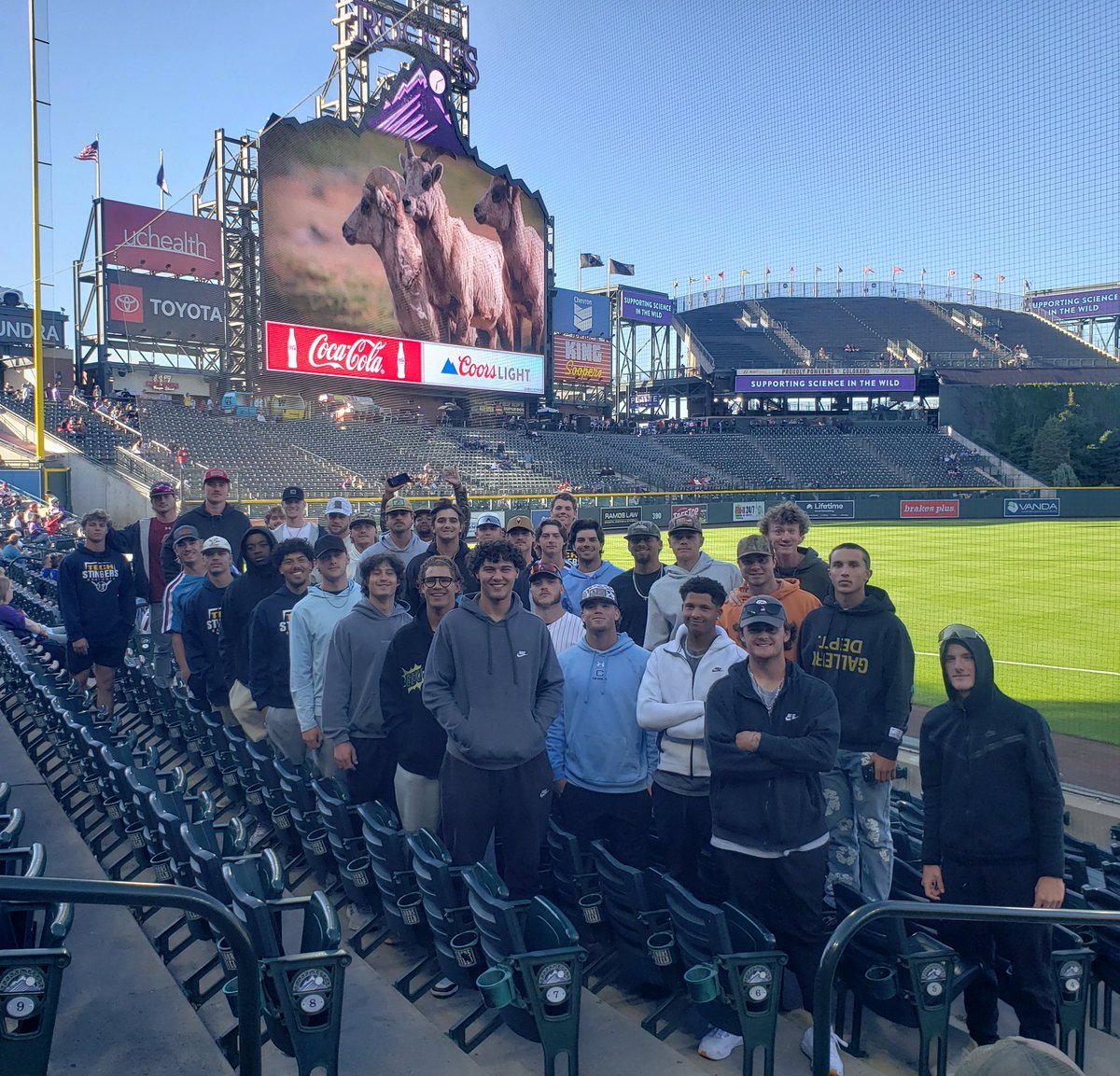 Flo-Dar Tech Stingers Baseball tweet media