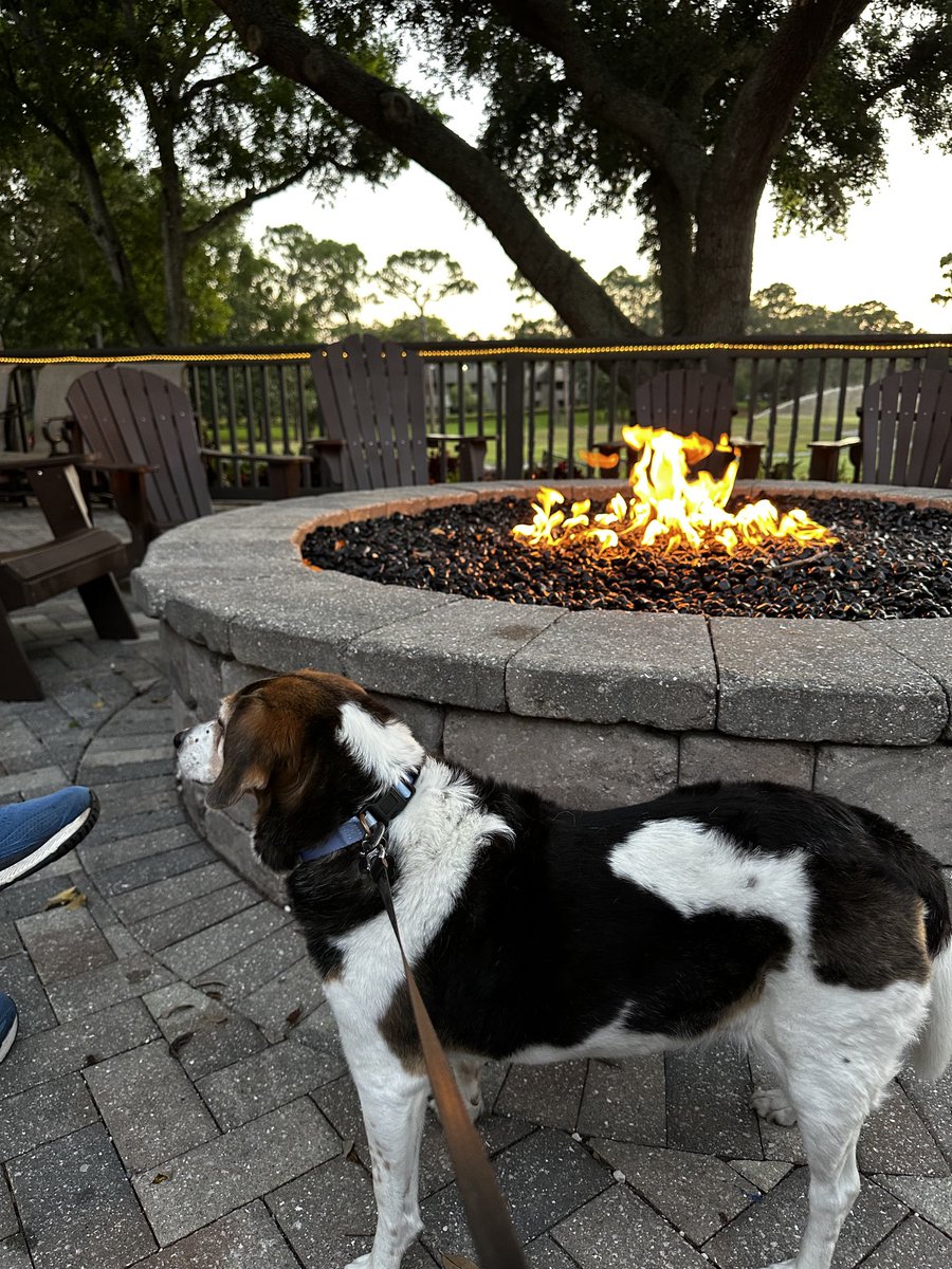 Another adventure 🐾🐶💕