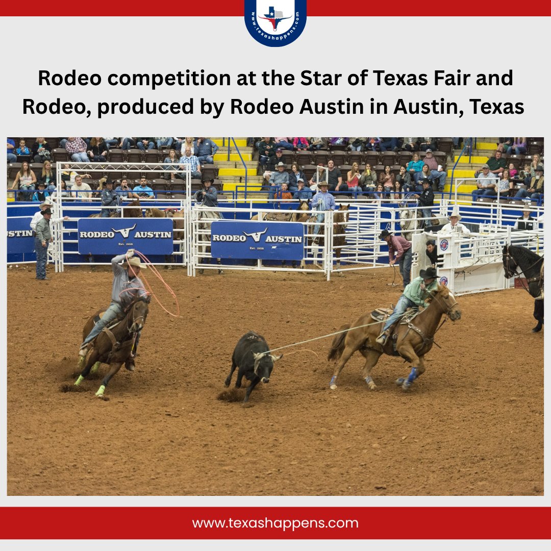 TXHappens's tweet image. The Star of Texas Fair and Rodeo brings top-tier competition and Lone Star spirit to the heart of Austin every year.
#Texas #TX #LoneStarState #AustinTX #TexasRodeo #RodeoAustin #CowboyCulture 🤠🏇