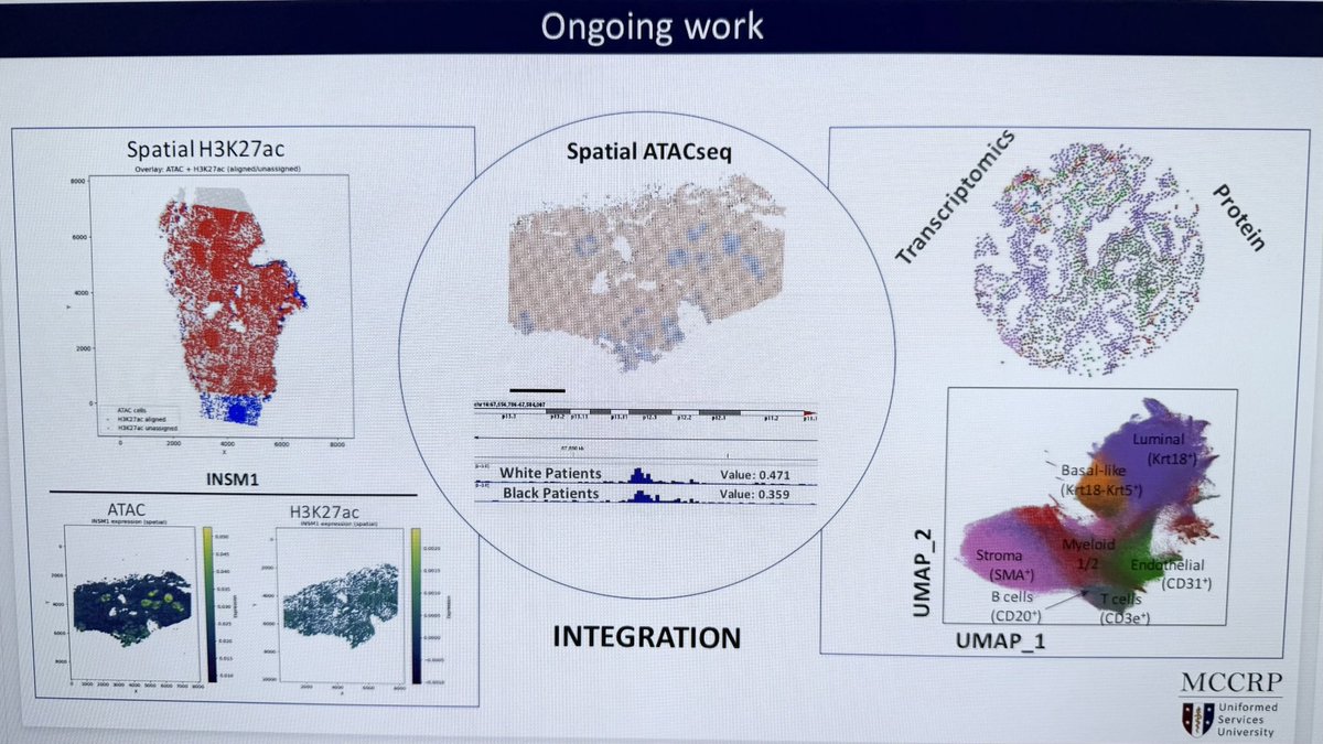 EllisLab_ (@ellislab_) on Twitter photo <a href="/BeatrizGerFalc/">Beatriz</a> representing <a href="/EllisLab_/">EllisLab_</a> discussing our spatial epigenomic analysis in #prostatecancer #spatialAtacseq
<a href="/PCF_Science/">PCF Science</a> <a href="/UrologySBUR/">Society for Basic Urologic Research | SBUR</a> <a href="/DrJasPlummer/">Dr. Jasmine Plummer 👩🏻🔬🧬🇨🇦🇺🇸</a> <a href="/LGMartelotto/">Luciano Martelotto 🛠🧬💻🇦🇺</a> <a href="/RongFan8/">Rong Fan</a> <a href="/AtlasXomics/">AtlasXomics</a> <a href="/BeatrizGerFalc/">Beatriz</a> representing <a href="/EllisLab_/">EllisLab_</a> discussing our spatial epigenomic analysis in #prostatecancer #spatialAtacseq
<a href="/PCF_Science/">PCF Science</a> <a href="/UrologySBUR/">Society for Basic Urologic Research | SBUR</a> <a href="/DrJasPlummer/">Dr. Jasmine Plummer 👩🏻🔬🧬🇨🇦🇺🇸</a> <a href="/LGMartelotto/">Luciano Martelotto 🛠🧬💻🇦🇺</a> <a href="/RongFan8/">Rong Fan</a> <a href="/AtlasXomics/">AtlasXomics</a>