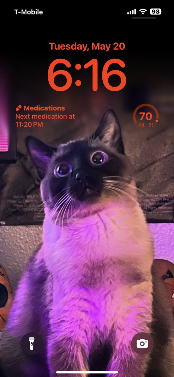 Mexican_Kappa's tweet photo. @GifsAnime_ Muh cat https://t.co/KQxcFGbfdh