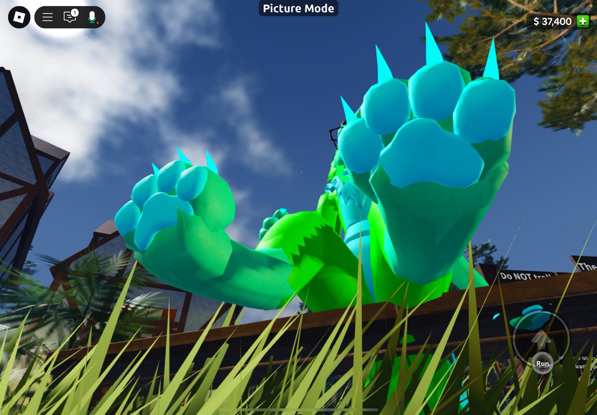 Happy #PawDay to everyone