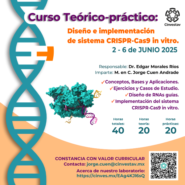 Cinvestav (@cinvestav) on Twitter photo Te invitamos al Curso teórico-práctico: Diseño en implementación de sistema CRISPR-Cas9 in vitro
🗓️ 2-6 junio
🗣️ Jorge Cuen Andrade
📨 jorge.cuen@cinvestav.mx
🔗 cinvestav.mx/zacatenco/bioq… Te invitamos al Curso teórico-práctico: Diseño en implementación de sistema CRISPR-Cas9 in vitro
🗓️ 2-6 junio
🗣️ Jorge Cuen Andrade
📨 jorge.cuen@cinvestav.mx
🔗 cinvestav.mx/zacatenco/bioq…
