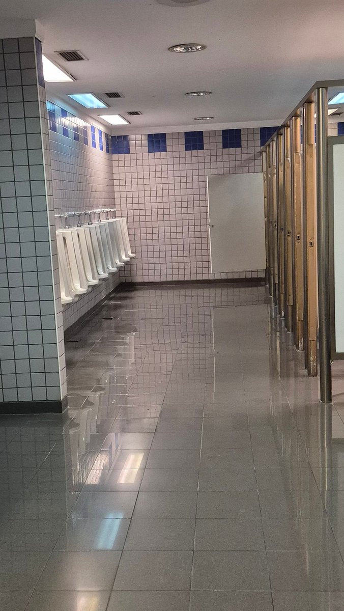 soyeldeX tweet media