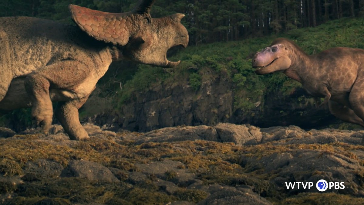 raftingzalmoxes's tweet photo. #WWD2025 
ARRHINOCERATOPS! ARRINOCERATOPS IS COME!!!
Two new WWD2025 teasers for episodes 3 and 4! https://t.co/Qa8lyUMV9c