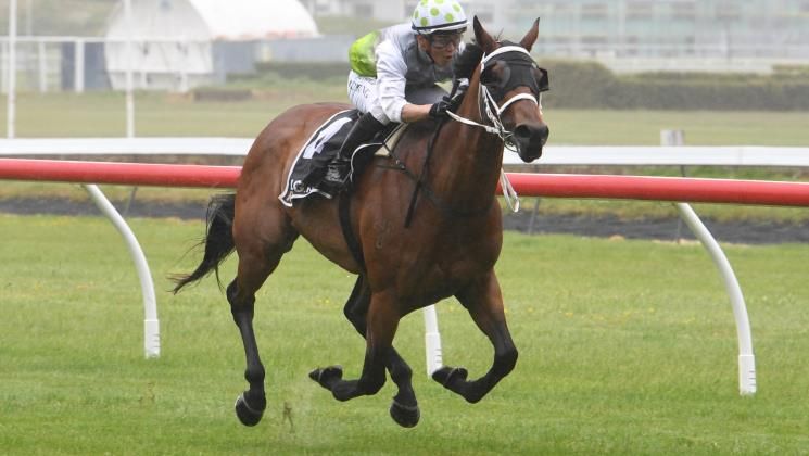 "She owes us nothing, we love that horse, she is an absolute beauty."

It’s a full circle moment for Group One performer Express Yourself this week, with the daughter of Shamexpress being offered once again on Gavelhouse.com. 

📖 Read more: buff.ly/Q3eldYc