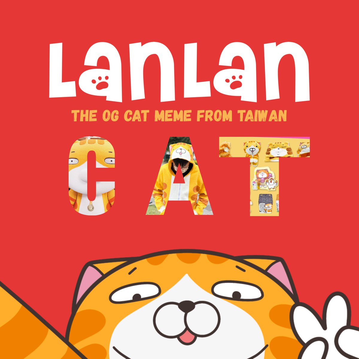 lanlancoin 🍊 🐱 tweet media