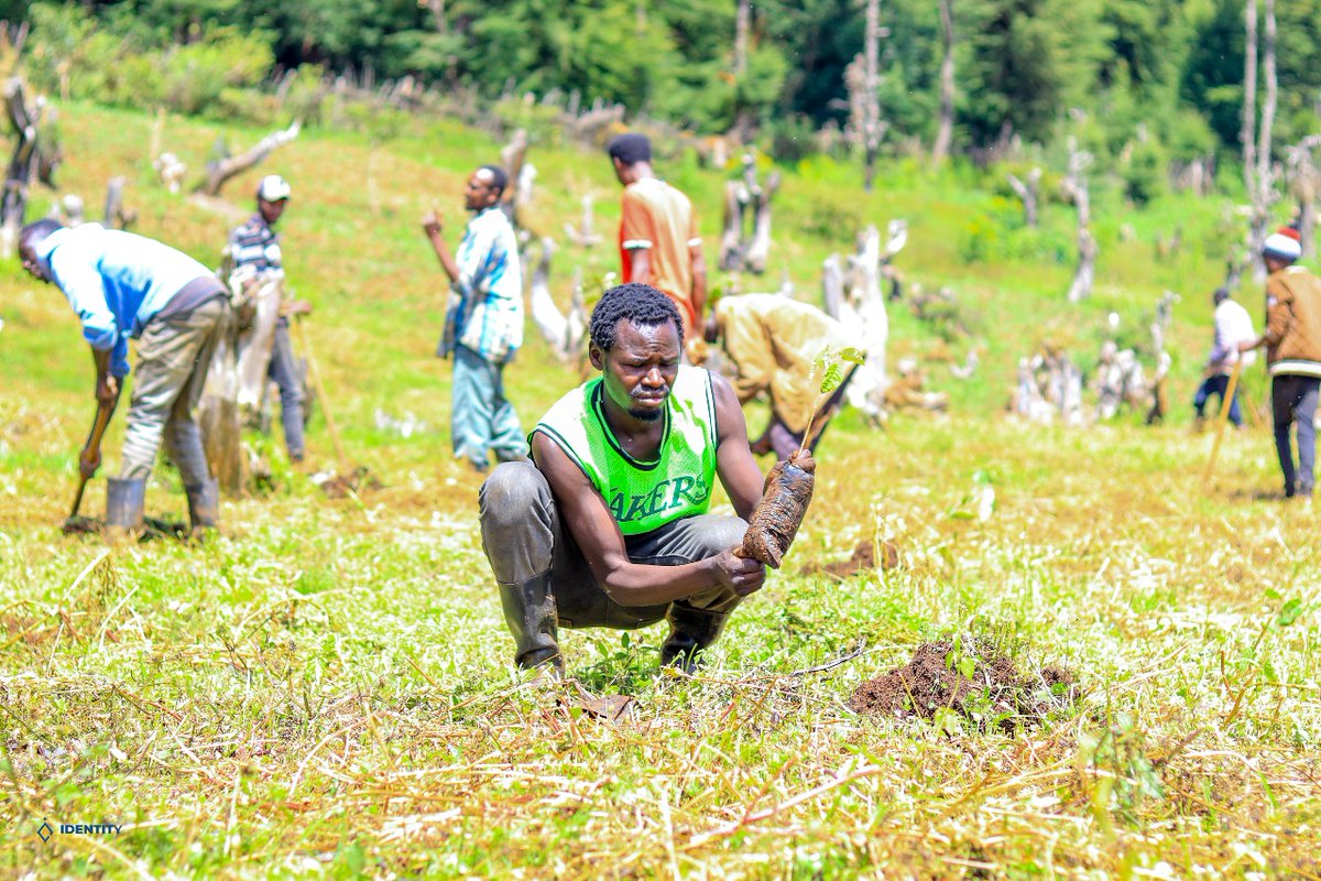DaviOmondi's tweet image. 20th May 2025 marks a major milestone for @yfga_kenya  as we officially launched our 200,000-tree planting campaign at Kipkabus Forest, Elgeyo Marakwet County. 📷 This initiative reflects our unwavering commitment to environmental restoration &amp;amp; climate resilience.