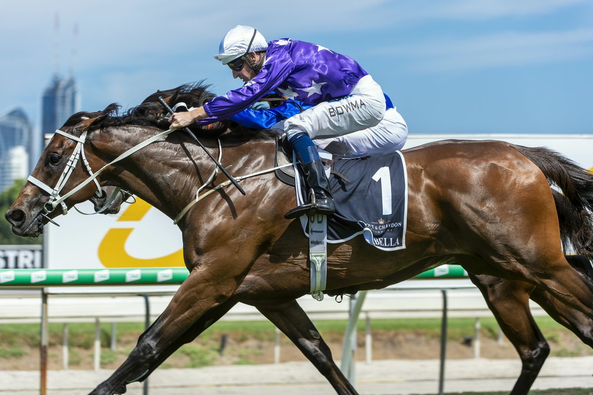 Since moving to Rosehill, our standout girls, Foxplay, Noire, Invincibella, Fiesta, Kiku, Olentia, Espiona &amp; Aeliana, have earned close to $25m for their owners from racetrack &amp; sales ring successes. Our stable of fillies &amp; mares continues to deliver 💪

#successinthestars