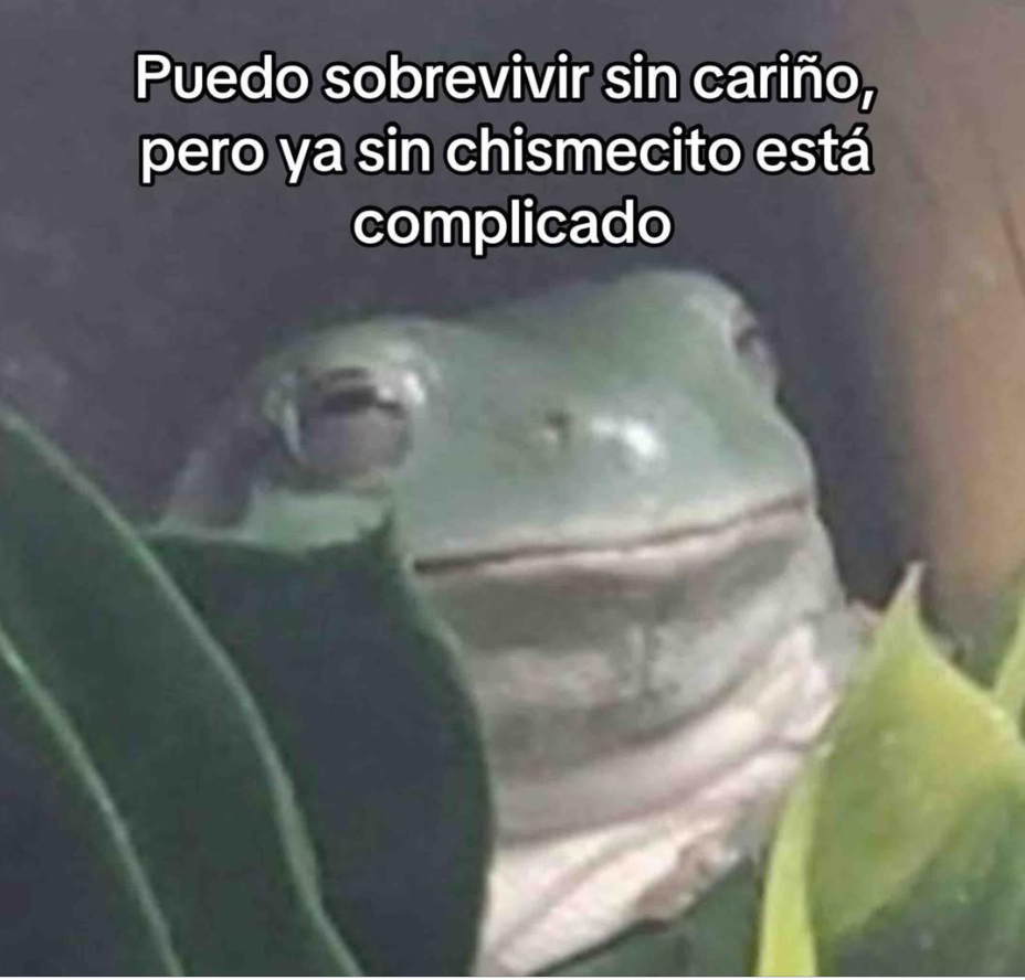 Guarromantico_'s tweet photo. Está complicado! https://t.co/iQZvOm4TcZ