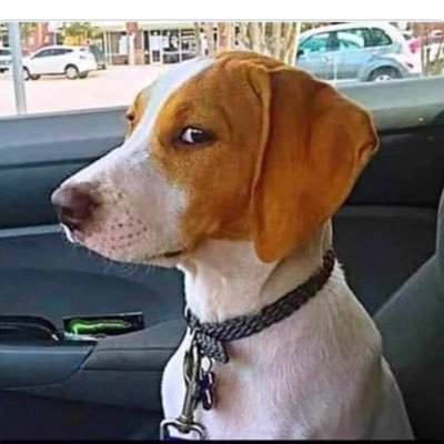 Remember I'm upset with you