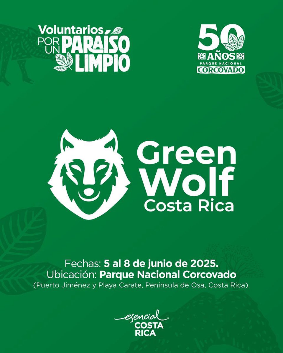 Del otro lado del mundo, el plástico viajó más de 12.000 km para llegar a las playas vírgenes de Corcovado.

Nosotros vinimos a devolverle su pureza.
Más de 200 voluntarios, 10 organizaciones y un mismo propósito: proteger uno de los lugares más biodiversos del planeta.