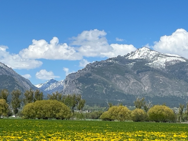 Sheri Schofield tweet media