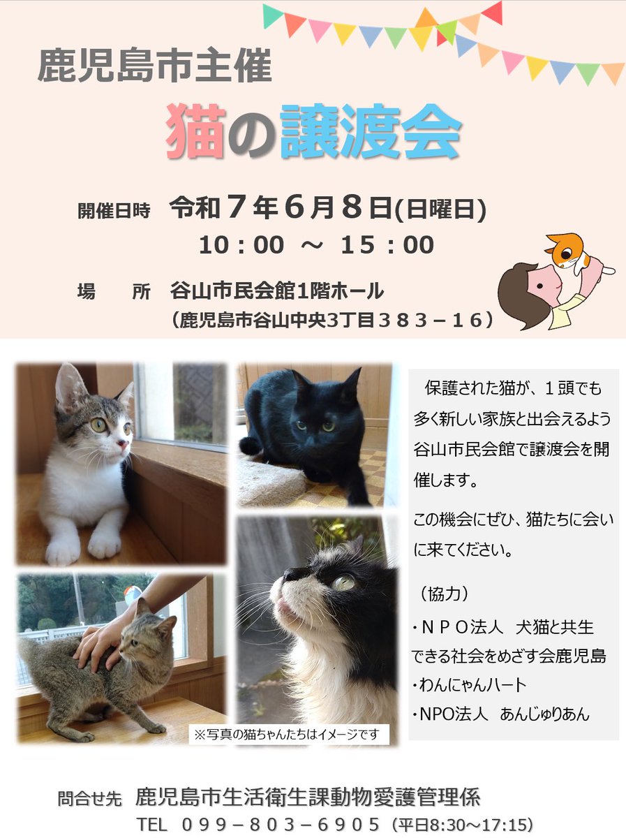 【動物愛護団体による猫の譲渡会を開催します🐈】
1頭でも多くの猫が新しい家族の元で暮らせるよう、皆様のご参加をお待ちしております😸
日時…6月8日(日)10時～15時
場所…谷山市民会館1階ホール
詳しくは、生活衛生課(TEL:803-6905)にお問い合わせください。