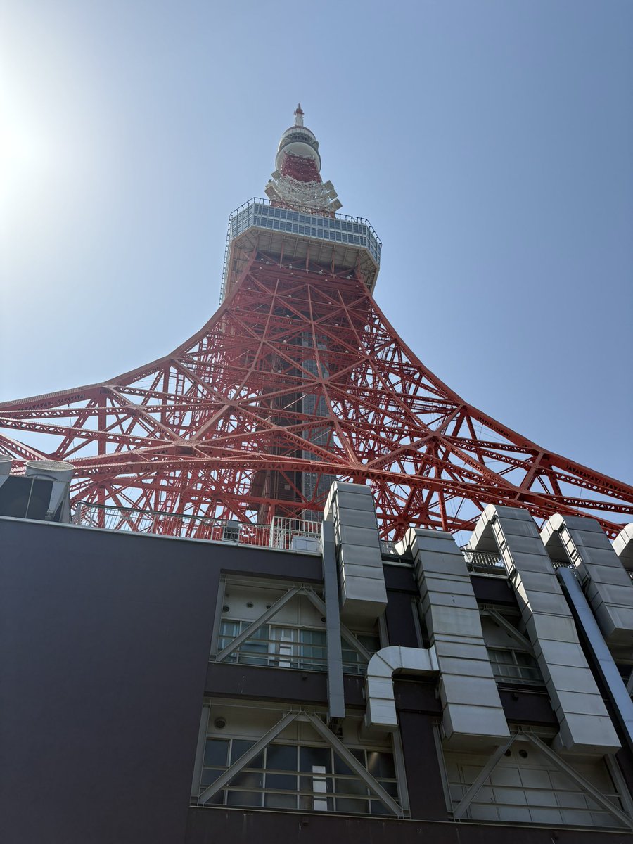 SC_cherry's tweet image. From japan🇯🇵🗾