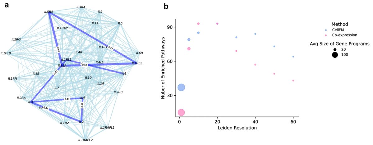 DailyHealthcareAI (@aipulserx) on Twitter photo How Can Large-Scale Foundation Models Transform Single-Cell Transcriptomics Analysis?<a href="/NatureComms/">Nature Communications</a>
"CellFM: a large-scale foundation model pre-trained on transcriptomics of 100 million human cells"
1. Single-cell RNA sequencing data analysis faces challenges from inherent How Can Large-Scale Foundation Models Transform Single-Cell Transcriptomics Analysis?<a href="/NatureComms/">Nature Communications</a>
"CellFM: a large-scale foundation model pre-trained on transcriptomics of 100 million human cells"
1. Single-cell RNA sequencing data analysis faces challenges from inherent