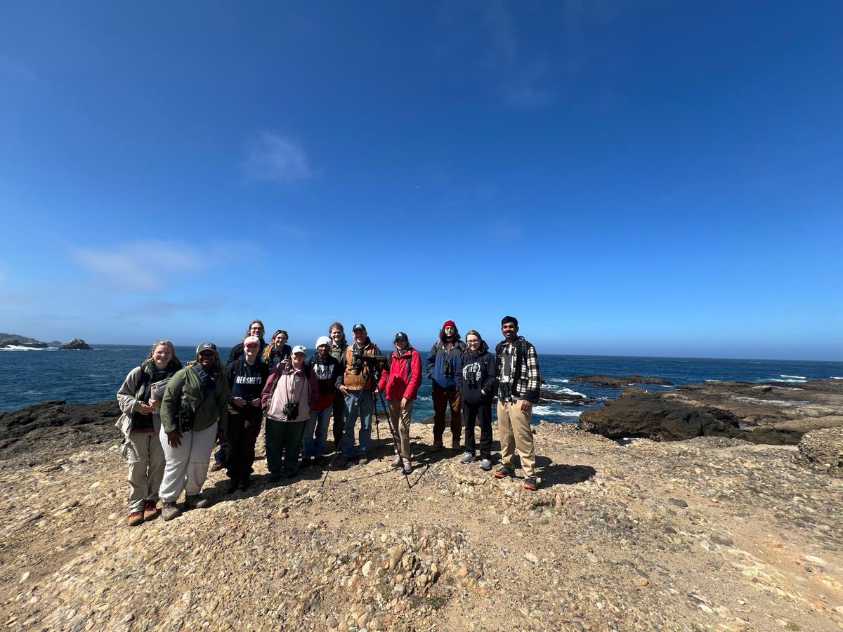 Walters Lab πΊπΈπ¨π¦π©π΄π¦πΊπΊπ¦πΉπΌπ³π±π±π°π (@walters_lab) on Twitter photo Our lab is leading a <a href="/BIOLOGYatODU/">ODU Biology Dept.</a> study away @oduabroad class on the Social Vertebrates of California. Todayβs field trip to Point Lobos State Natural Reserve included a chance to view sea otters, seals, sea lions, Brandtβs cormorants, and a host of other species. Our lab is leading a <a href="/BIOLOGYatODU/">ODU Biology Dept.</a> study away @oduabroad class on the Social Vertebrates of California. Todayβs field trip to Point Lobos State Natural Reserve included a chance to view sea otters, seals, sea lions, Brandtβs cormorants, and a host of other species.