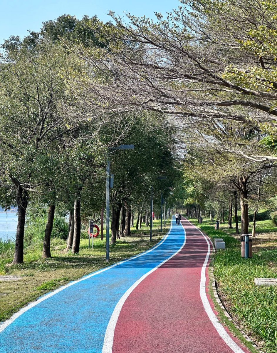 dsgnbb's tweet image. 🌸彩る自然に囲まれて🌸  
「オレンジ色の花々が心を暖かく包み込む🌺。緑と空のコントラストが平和を感じさせる日🌿。」