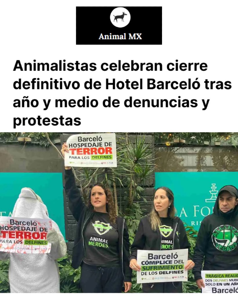 BeAnimalHeroes's tweet photo. #PorSiTeLoPerdiste | ¡Victoria para los delfines! 🐬
Después de un año y medio de protestas, denuncias y presión ciudadana, la PROFEPA clausuró de forma definitiva el delfinario del Hotel Barceló, conocido como Dolphinaris Barceló.⬇️ https://t.co/uycrqvKiwe