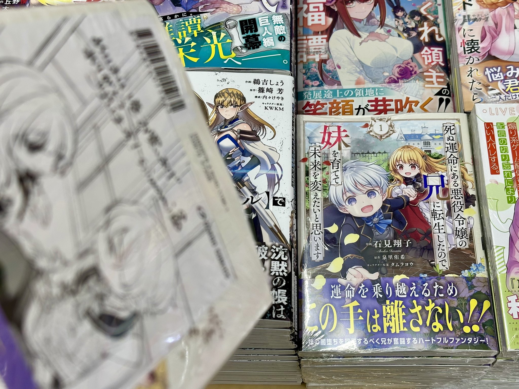 死ぬ運命にある悪役令嬢の兄に転生したので 2サイン本 泉里侑希 タムラヨウ 死ぬ運命にある悪役令嬢の兄に転生したので、妹を育てて未来を