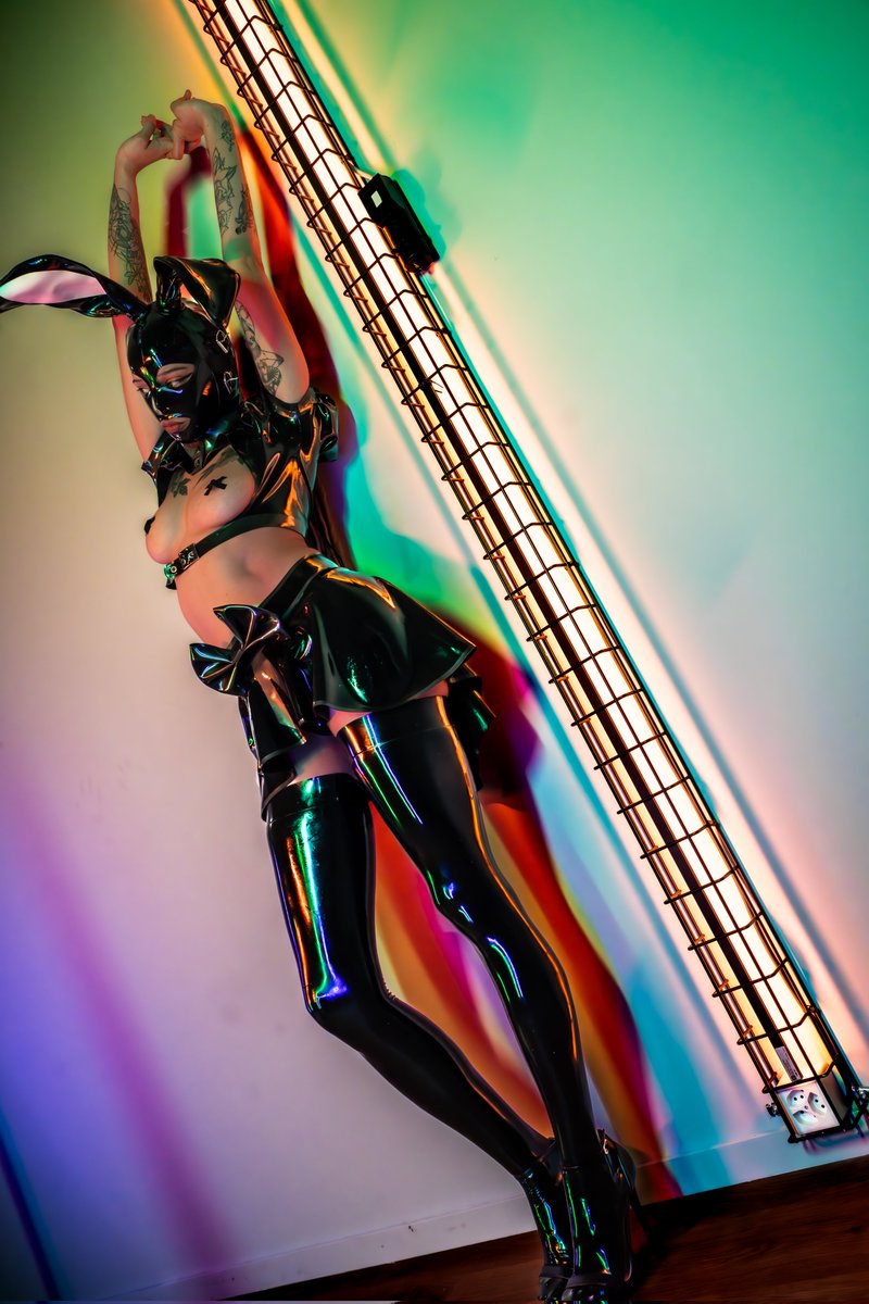 Somebody needs a wild bunny ?

M Auxilidora