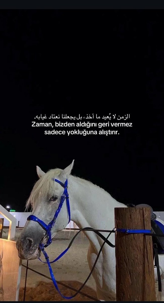 Fikriye (@fikriye_tnlp) on Twitter photo 