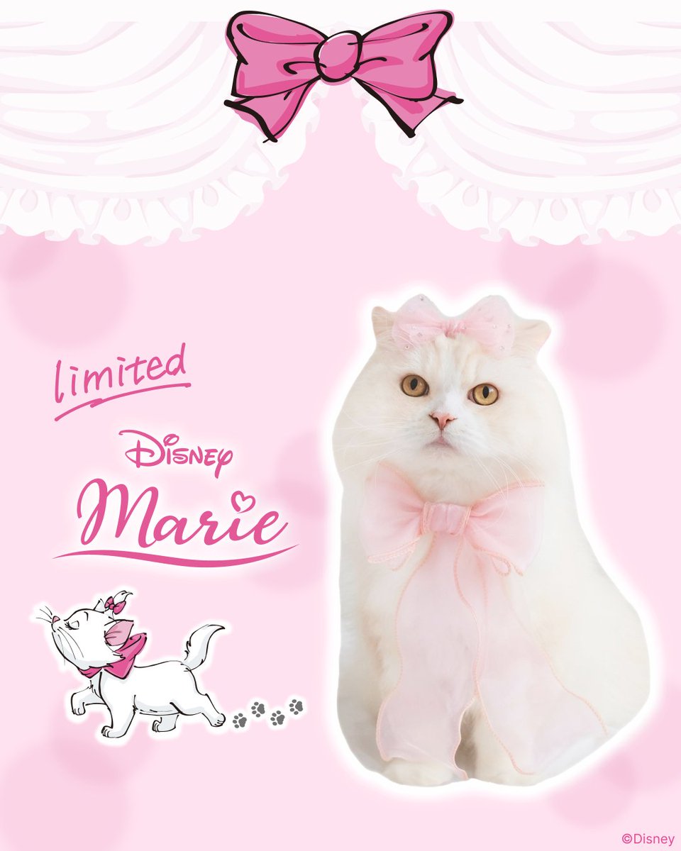 マリーちゃん 限定デザインが登場🎀🐈／ 🤍クレンジングバーム