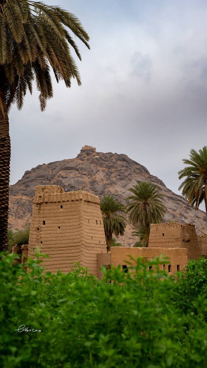 sfhsfj12's tweet photo. قال علي بن الحسين عليه السلام🤍

"  ما مِن خطوه أحب  إلى الله عزّ وجلّ 
 من خطوتين : " خطوه يَسد بها المؤمن
صفّاً في سبيل الله،
،، وخطوه إلى ذي رحم قاطع"
☘️☘️

#صباح_الخير_والسعاده_للجميع 
#استغفر_الله_العظيم_وآتوب_إليه https://t.co/zukYDglOP2
