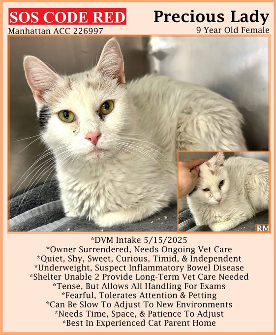 Peter Askin tweet media