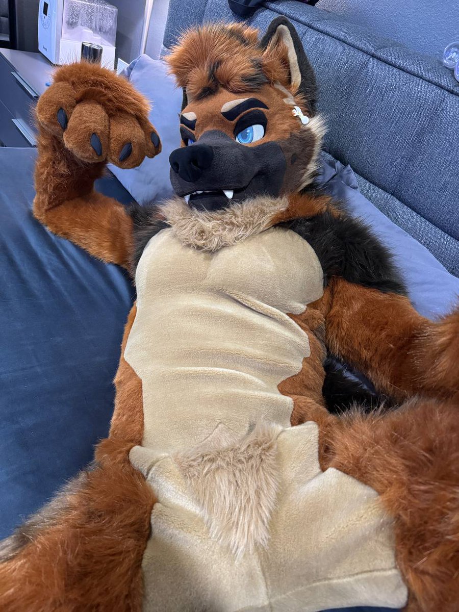 Would you pet the dog?