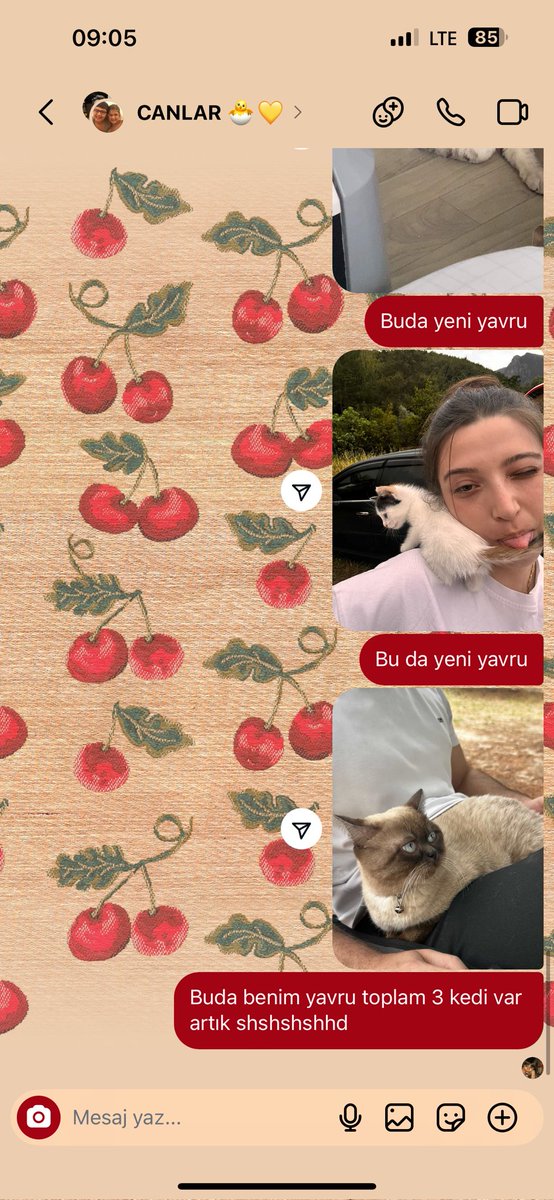 :)));)););));)