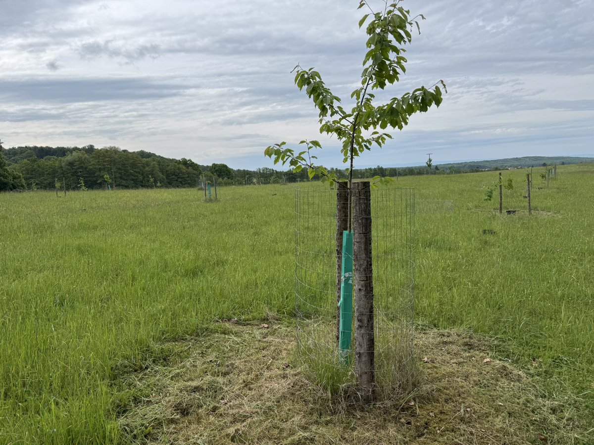 Aleš Erber tweet media