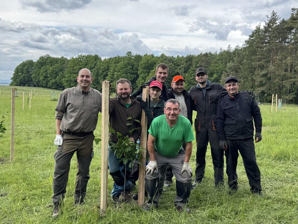 Aleš Erber tweet media