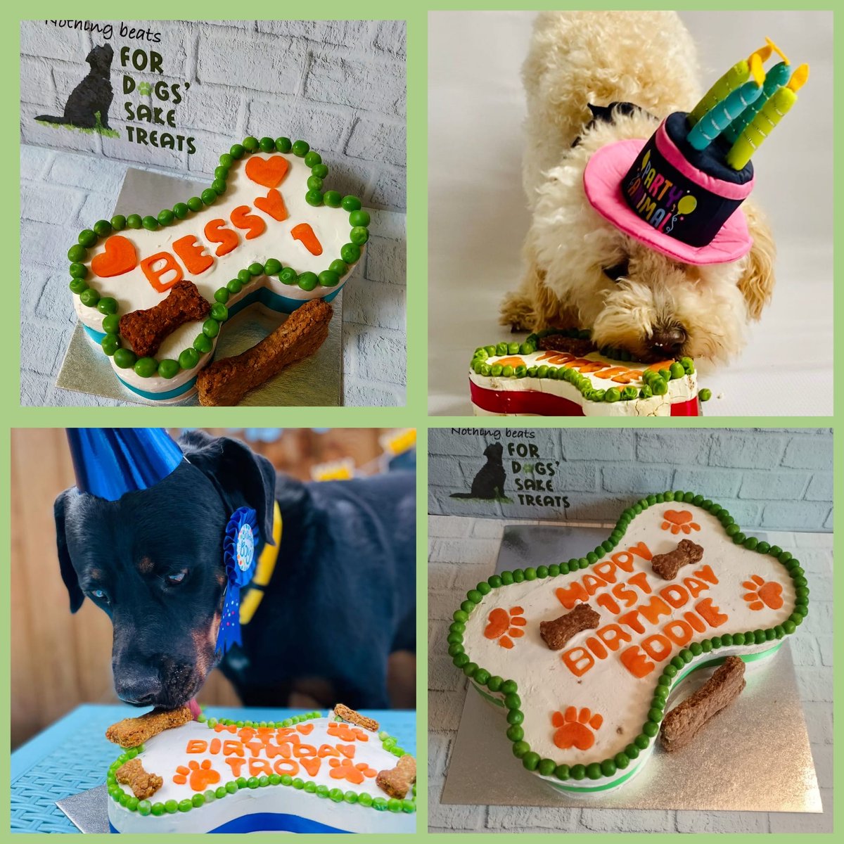 Dotty4Paws (@dotty4paws) on Twitter photo Super duper proud to include <a href="/ForDogs_Sake/">For Dogs’ Sake Treats</a> in our pack 🥳
As well as THE MOST incredible doggy celebration cakes, they also sell the most scrummy natural dog treats. All of which are made using the finest ingredients.
dotty4paws.co.uk/businesses/lis…
#dogcakes #EarlyBiz #MHHSBD Super duper proud to include <a href="/ForDogs_Sake/">For Dogs’ Sake Treats</a> in our pack 🥳
As well as THE MOST incredible doggy celebration cakes, they also sell the most scrummy natural dog treats. All of which are made using the finest ingredients.
dotty4paws.co.uk/businesses/lis…
#dogcakes #EarlyBiz #MHHSBD