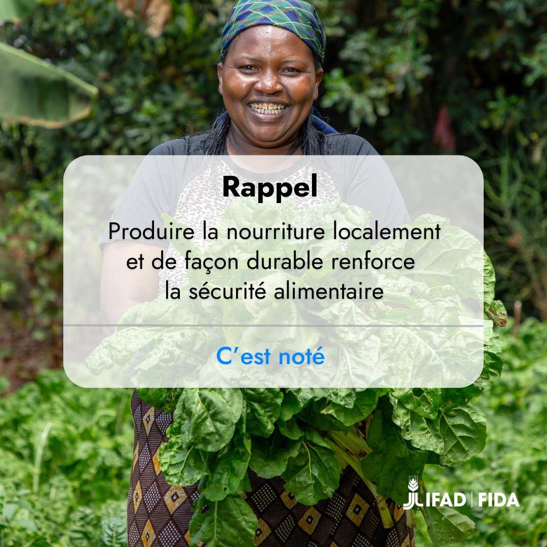 🖐️ Et c'est exactement ce que font les petits producteurs et productrices agricoles.

C'est pourquoi nous ne saurions atteindre l'objectif #FaimZéro sans elles ni sans eux. 

Vous êtes d'accord ?