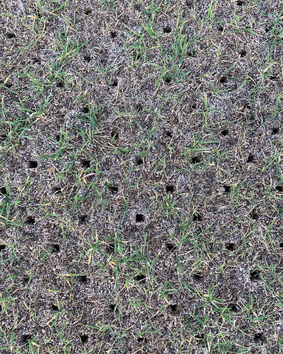 Thorntrees Amenity tweet media