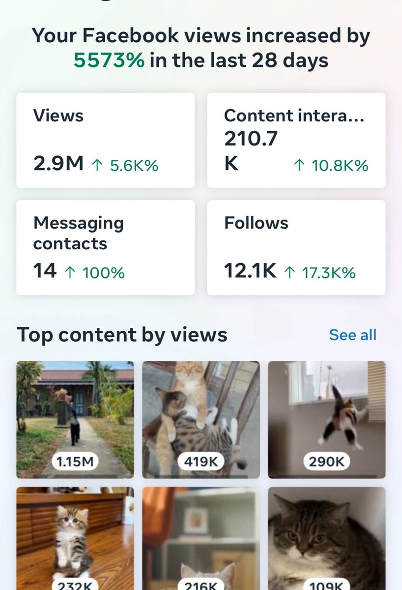 CATSKY AI Token 🐈‍⬛ tweet media