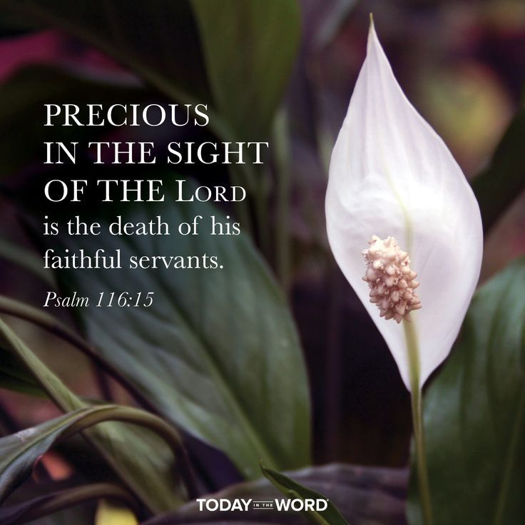 Debra Crockett tweet media